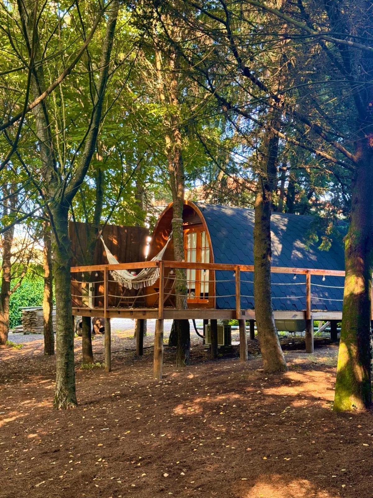 Glicinia Boutique Hotel Freamunde Bagian luar foto