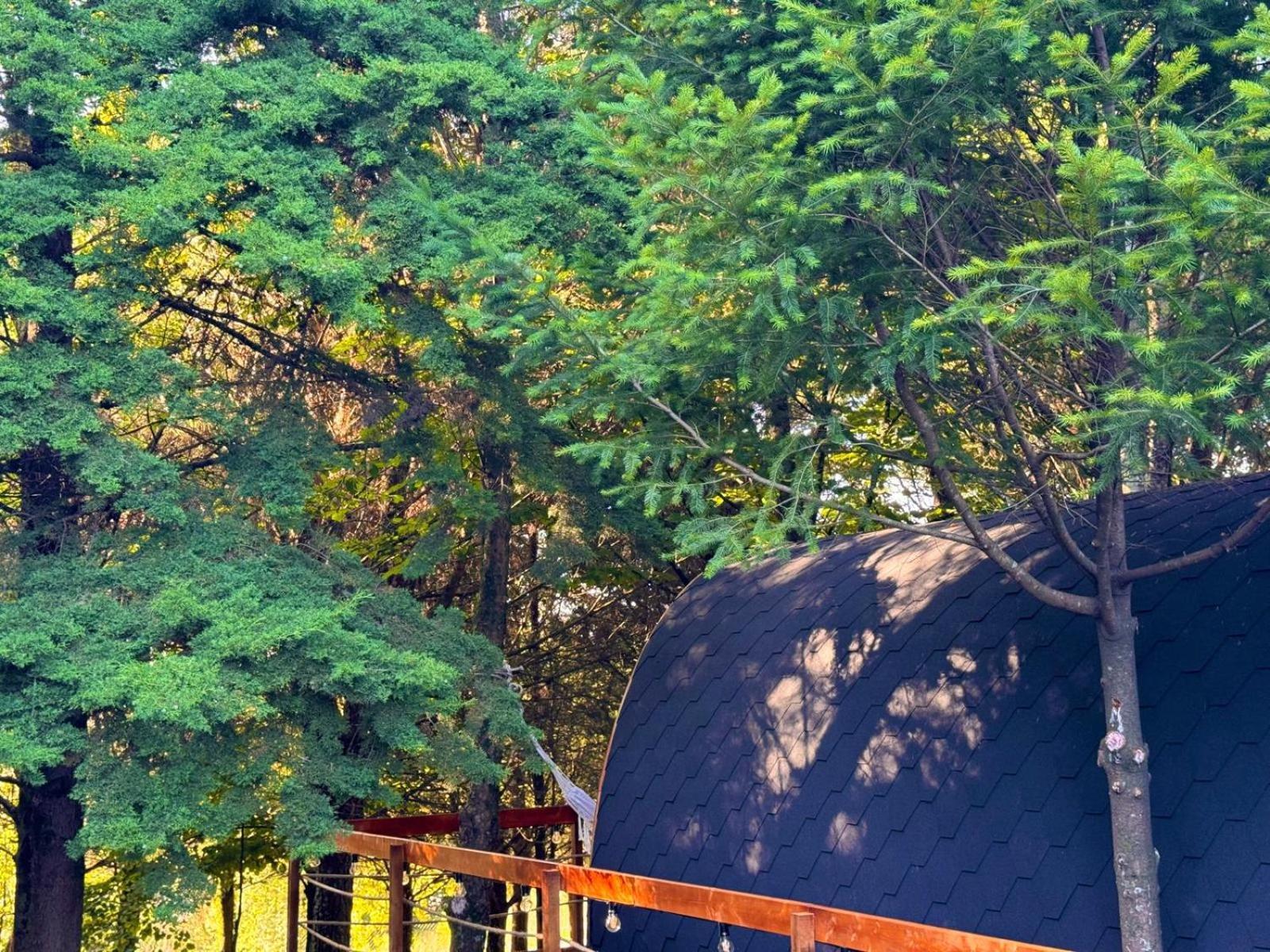 Glicinia Boutique Hotel Freamunde Bagian luar foto